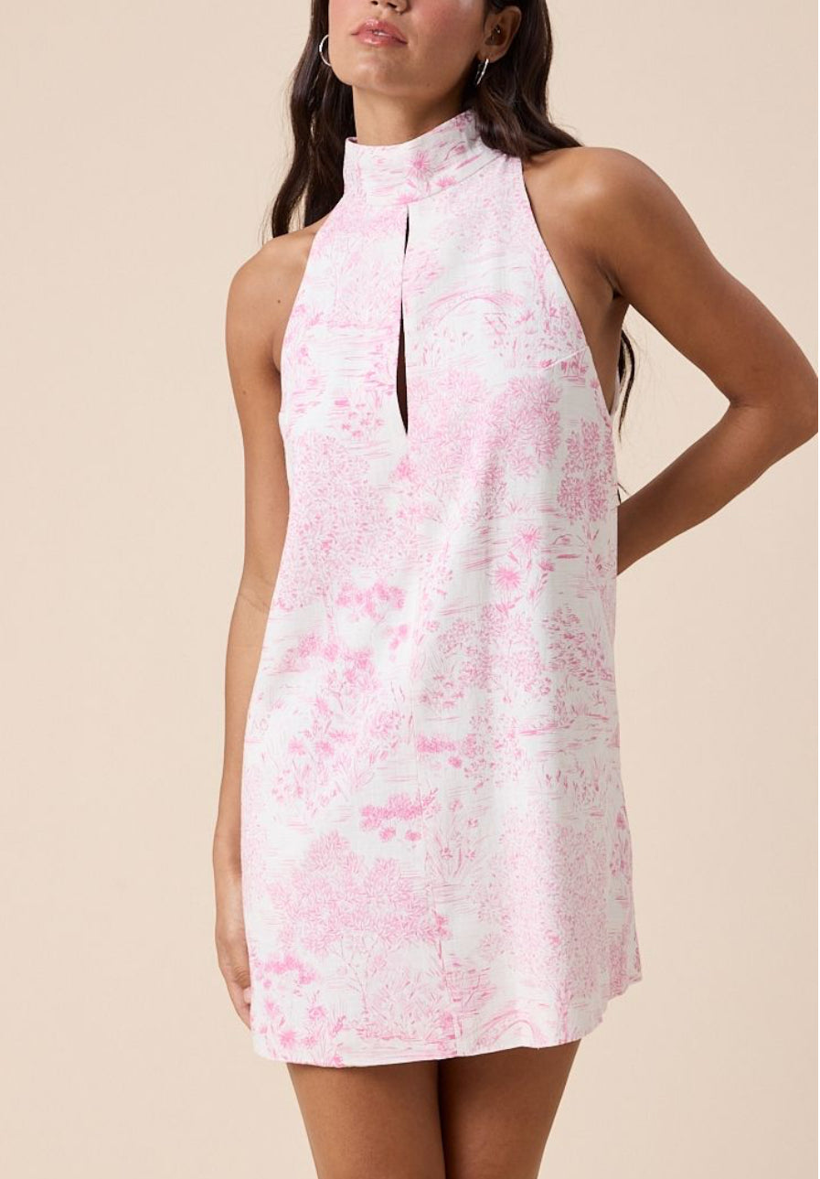 Pastel Poetry Mini Dress